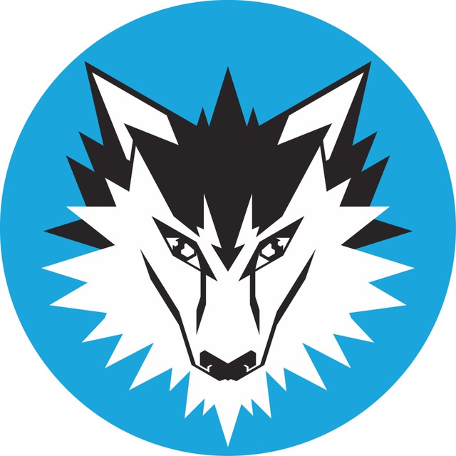 The profile picture of team member Cormac, the Malamute. A heavily stylised, geometrical picture of a malamute head. Most of his face is white, with a black forehead and ears, and his fur is drawn in a jagged and spiky manner. He has a little lightning bolt marking in white where each eyebrow would be.